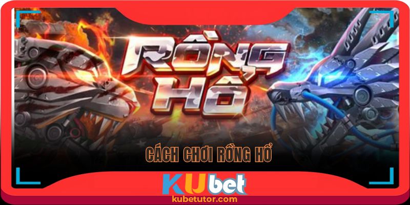 cách chơi rồng hổ tại trang kubet